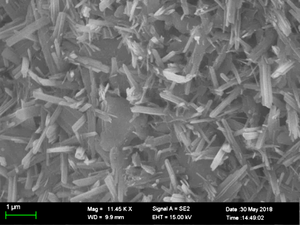 铜尾矿电镜分析