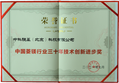 2021年中国菱镁行业三十年技术创新进步奖