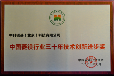2021年中国菱镁行业三十年技术创新进步奖