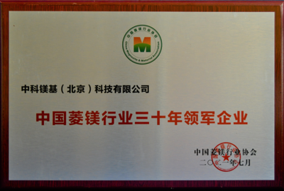 2021年中国菱镁行业三十年领军企业奖